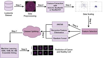 An efficient computer vision-based approach for acute lymphoblastic leukemia prediction